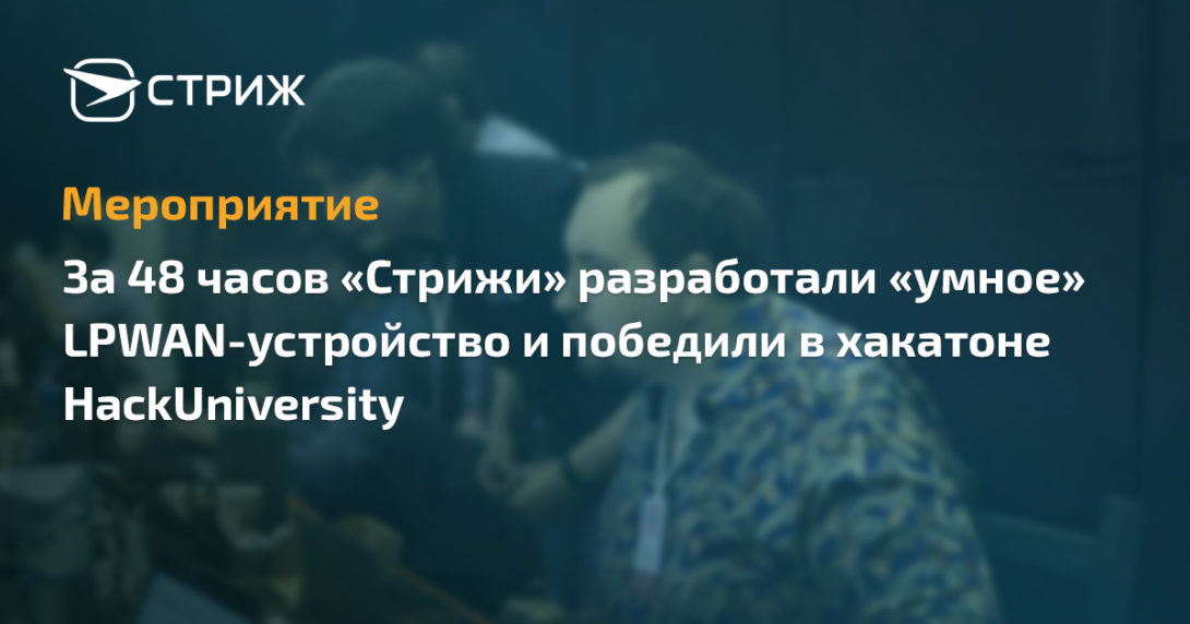 Победа команды «Стрижи» на хакатоне