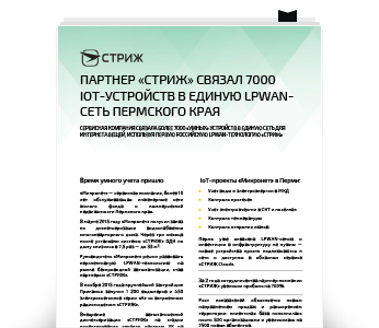 Первая страница кейса Перми